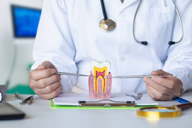 Best Emergency Dental Care for Abscessed Tooth in Port Vue, PA